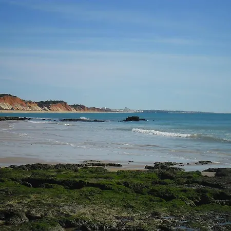 Апартаменти Ocean Terrace