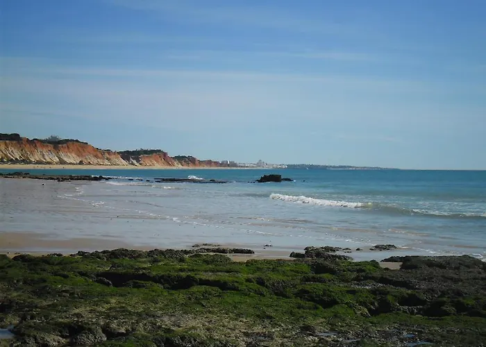 Apartment Ocean Terrace