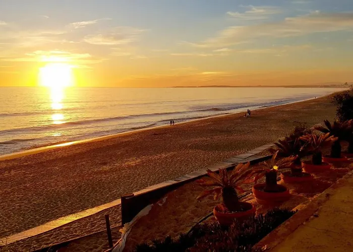 Ocean Terrace アパート *